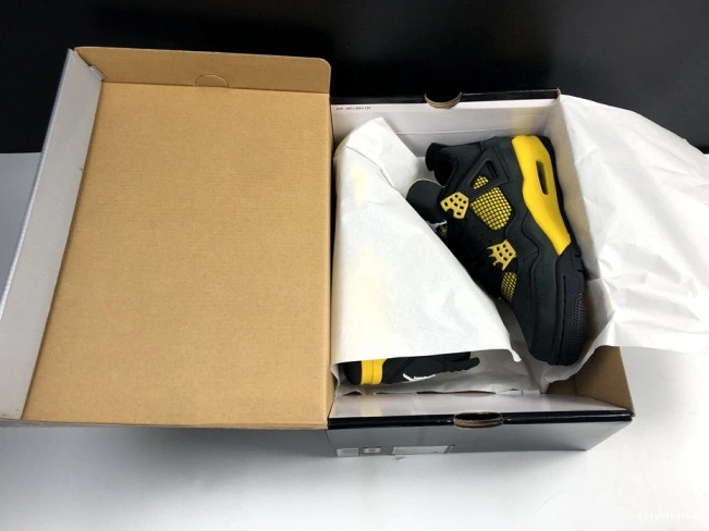 Retro Thunder 4 Air Jordan 308497-008 1010